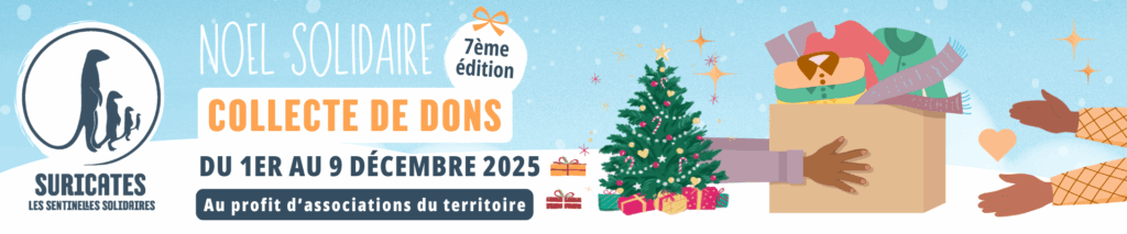 Bannière promotion Noel Solidaire 2025