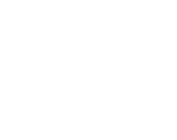 Suricates, les sentinelles solidaires