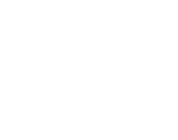 Suricates, les sentinelles solidaires