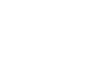 Suricates
