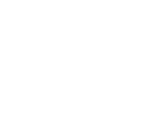 Suricates